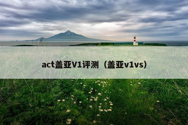 act盖亚V1评测（盖亚v1vs）