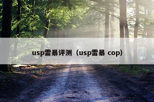 usp雷暴评测(usp雷暴 cop)