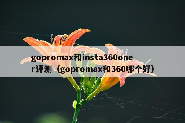 gopromax和insta360oner评测（gopromax和360哪个好）