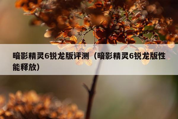 暗影精灵6锐龙版评测（暗影精灵6锐龙版性能释放）