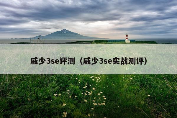 威少3se评测(威少3se实战测评)
