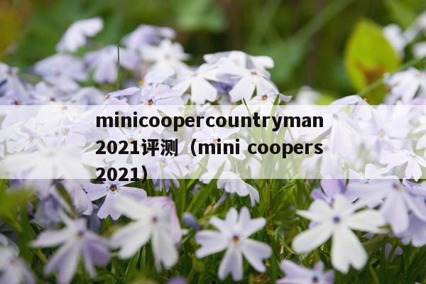 minicoopercountryman2021评测(mini coopers 2021)