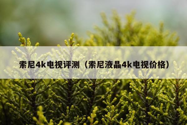 索尼4k电视评测(索尼液晶4k电视价格)