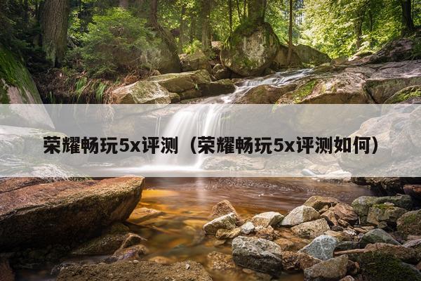 荣耀畅玩5x评测（荣耀畅玩5x评测如何）