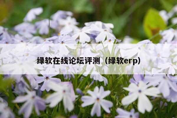 绿软在线论坛评测（绿软erp）