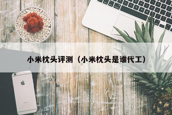 小米枕头评测(小米枕头是谁代工)