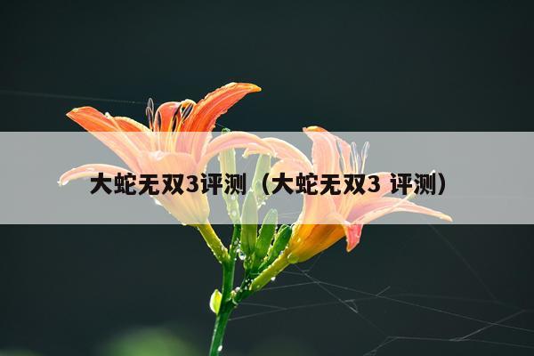大蛇无双3评测(大蛇无双3 评测)