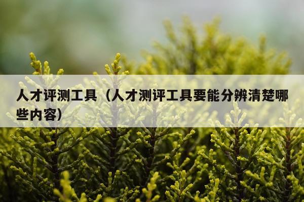 人才评测工具（人才测评工具要能分辨清楚哪些内容）