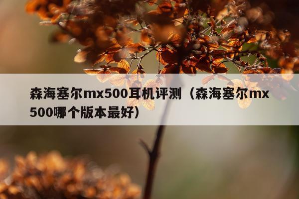 森海塞尔mx500耳机评测(森海塞尔mx500哪个版本最好)