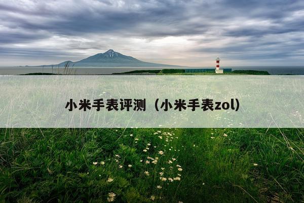 小米手表评测（小米手表zol）