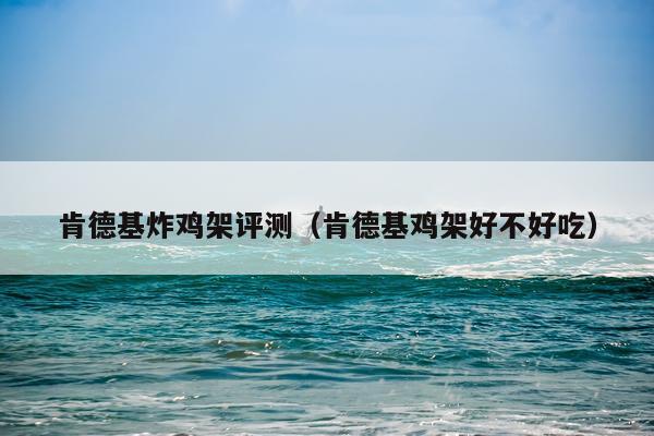 肯德基炸鸡架评测（肯德基鸡架好不好吃）