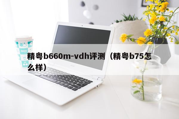 精粤b660m-vdh评测（精粤b75怎么样）