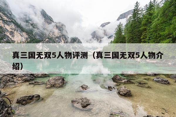 真三国无双5人物评测（真三国无双5人物介绍）