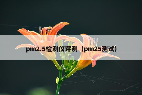 pm2.5检测仪评测（pm25测试）