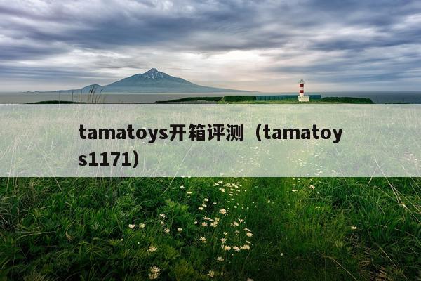 tamatoys开箱评测（tamatoys1171）