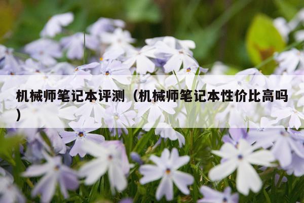 机械师笔记本评测（机械师笔记本性价比高吗）