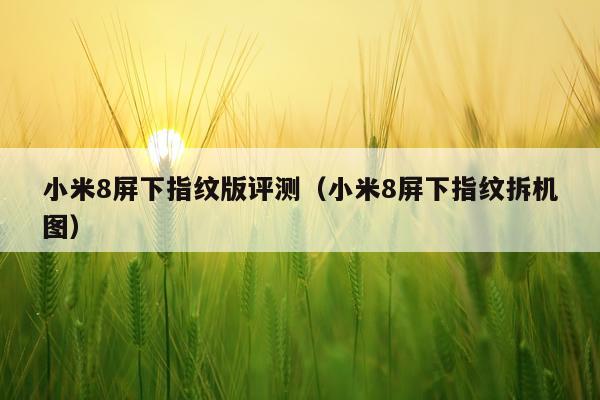 小米8屏下指纹版评测(小米8屏下指纹拆机图)