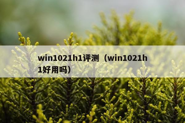 win1021h1评测（win1021h1好用吗）