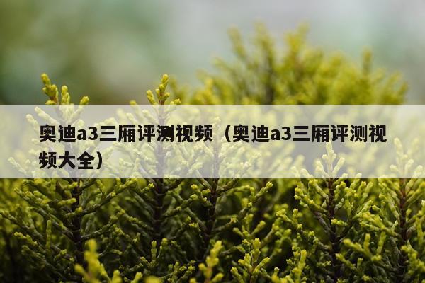 奥迪a3三厢评测视频（奥迪a3三厢评测视频大全）