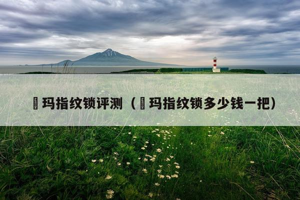 玥玛指纹锁评测（玥玛指纹锁多少钱一把）