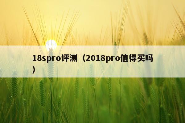 18spro评测(2018pro值得买吗)