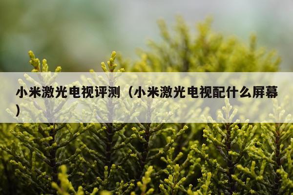 小米激光电视评测（小米激光电视配什么屏幕）