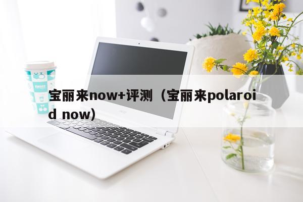 宝丽来now+评测(宝丽来polaroid now)