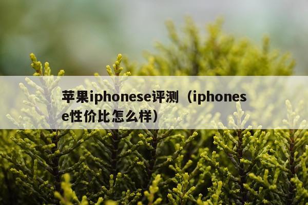 苹果iphonese评测（iphonese性价比怎么样）
