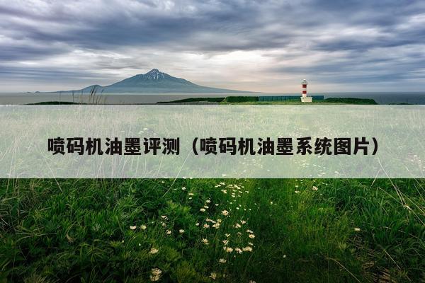 喷码机油墨评测（喷码机油墨系统图片）