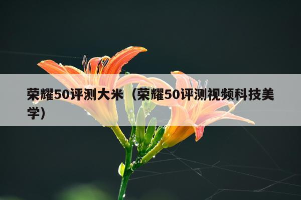 荣耀50评测大米（荣耀50评测视频科技美学）