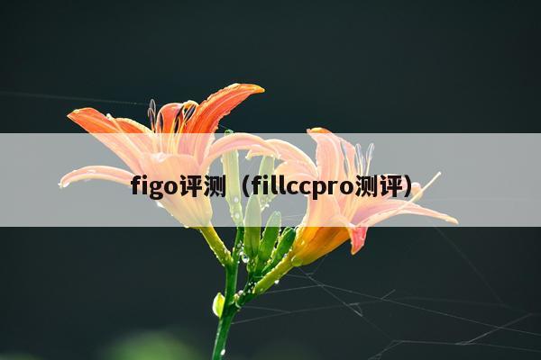 figo评测（fillccpro测评）