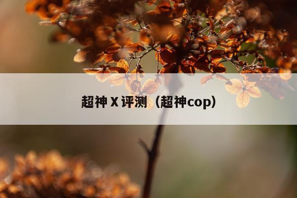 超神Ⅹ评测（超神cop）