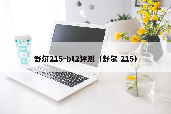 舒尔215-bt2评测（舒尔 215）