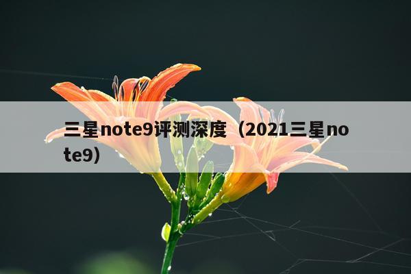 三星note9评测深度(2021三星note9)