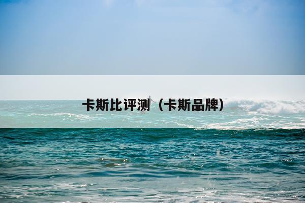 卡斯比评测(卡斯品牌)