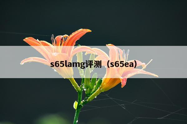s65lamg评测（s65ea）