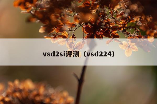 vsd2si评测（vsd224）