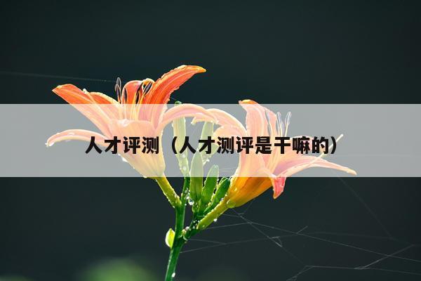 人才评测（人才测评是干嘛的）