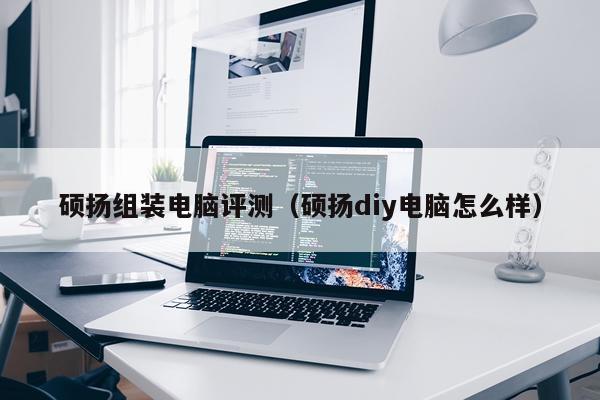 硕扬组装电脑评测（硕扬diy电脑怎么样）