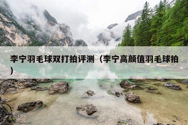李宁羽毛球双打拍评测（李宁高颜值羽毛球拍）