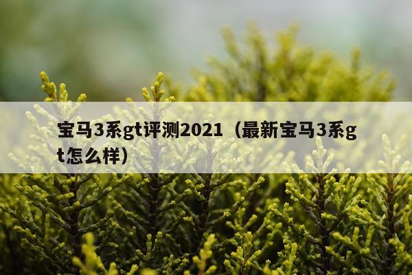 宝马3系gt评测2021（最新宝马3系gt怎么样）