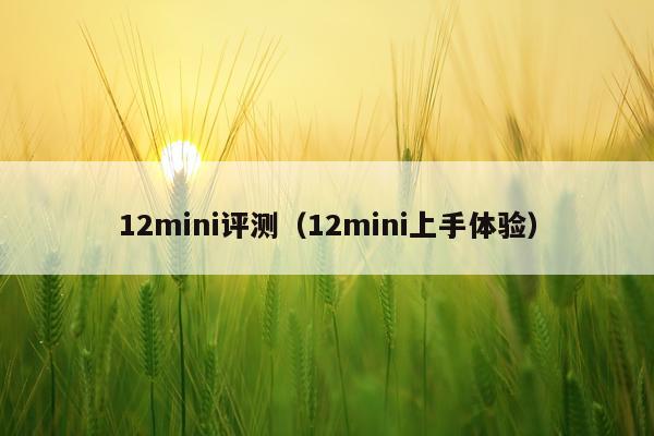 12mini评测（12mini上手体验）