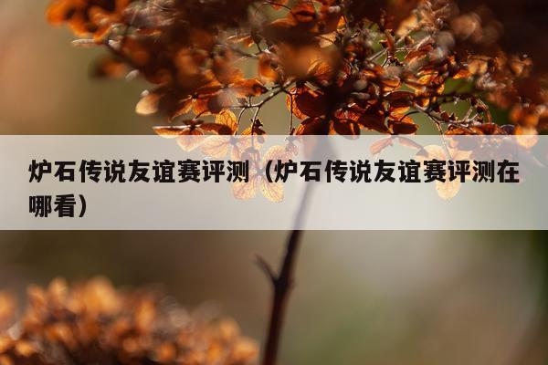炉石传说友谊赛评测(炉石传说友谊赛评测在哪看)