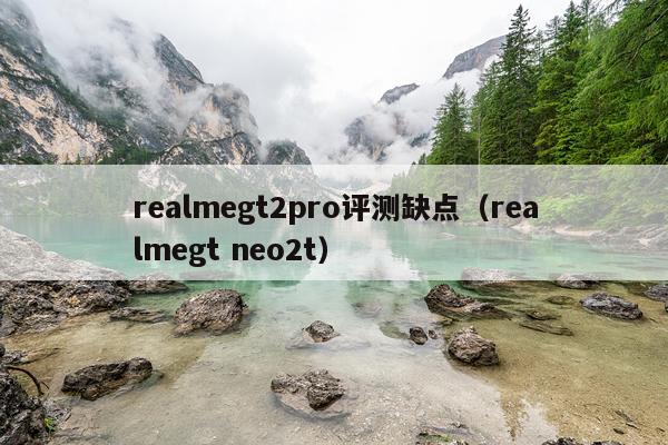 realmegt2pro评测缺点（realmegt neo2t）
