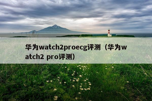 华为watch2proecg评测（华为watch2 pro评测）