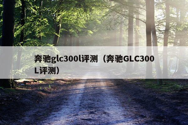 奔驰glc300l评测（奔驰GLC300L评测）