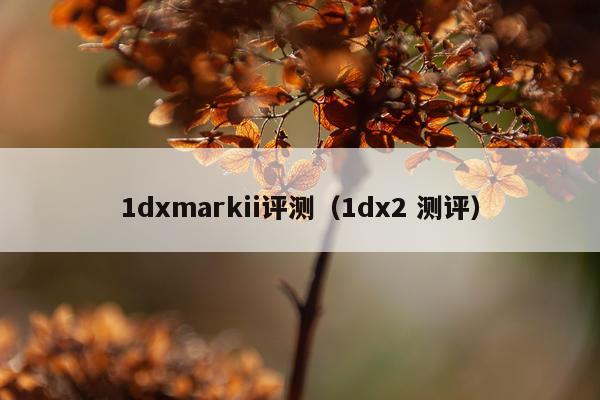1dxmarkii评测（1dx2 测评）