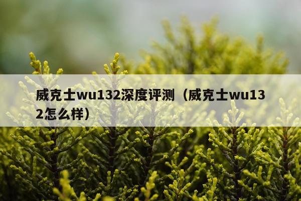 威克士wu132深度评测（威克士wu132怎么样）
