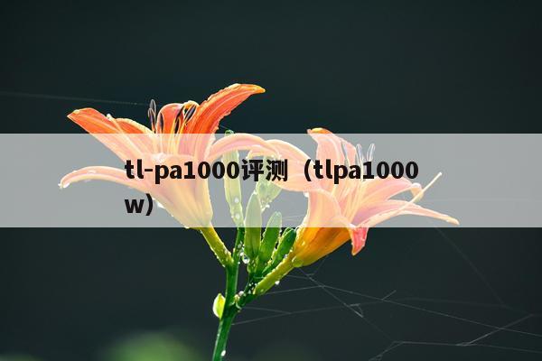 tl-pa1000评测（tlpa1000w）