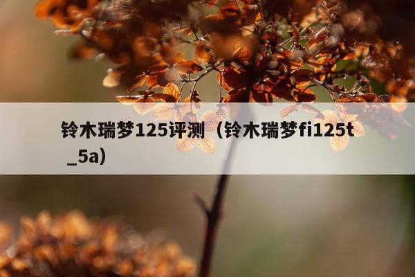 铃木瑞梦125评测（铃木瑞梦fi125t _5a）